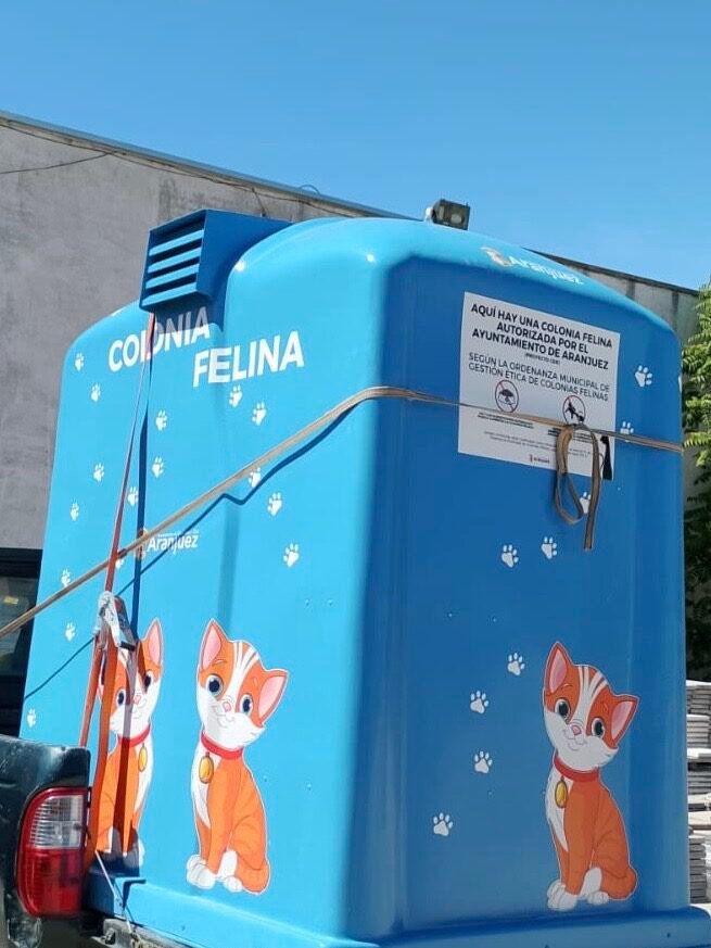COLONIA-FELINA-CONTENEDOR-edited Contenedores de vidrio reconvertidos en refugio para gatos