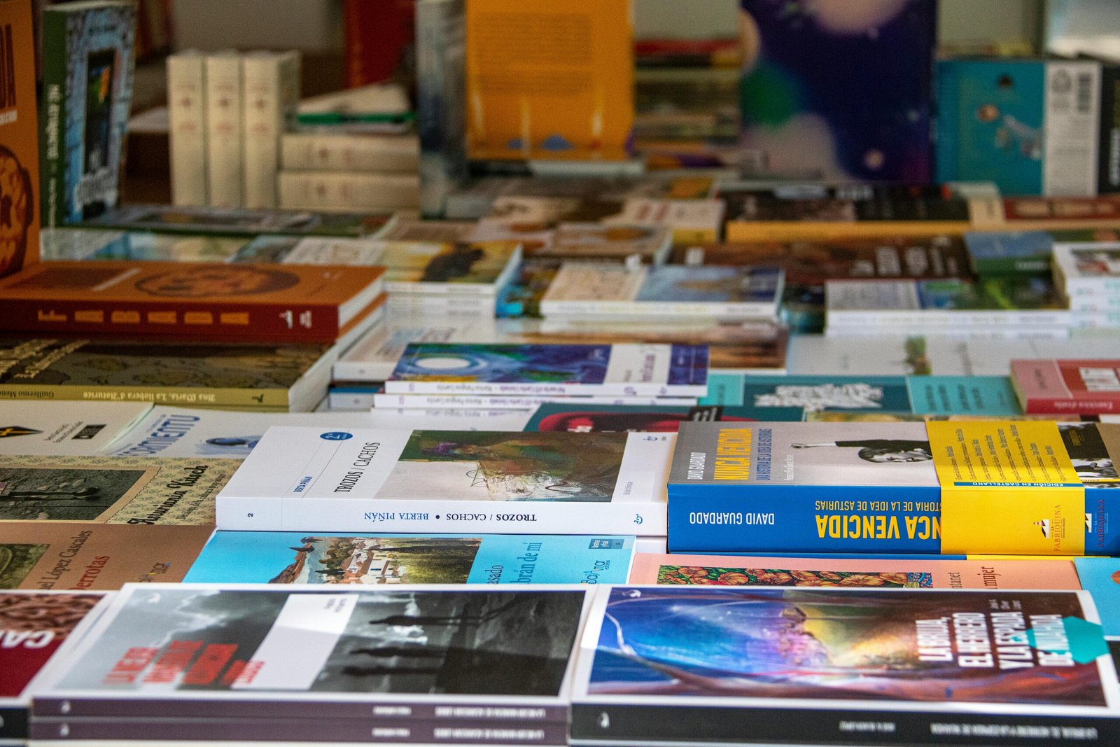 An assorted collection of books arranged on a table in Madrid, showcasing diverse genres and covers.
