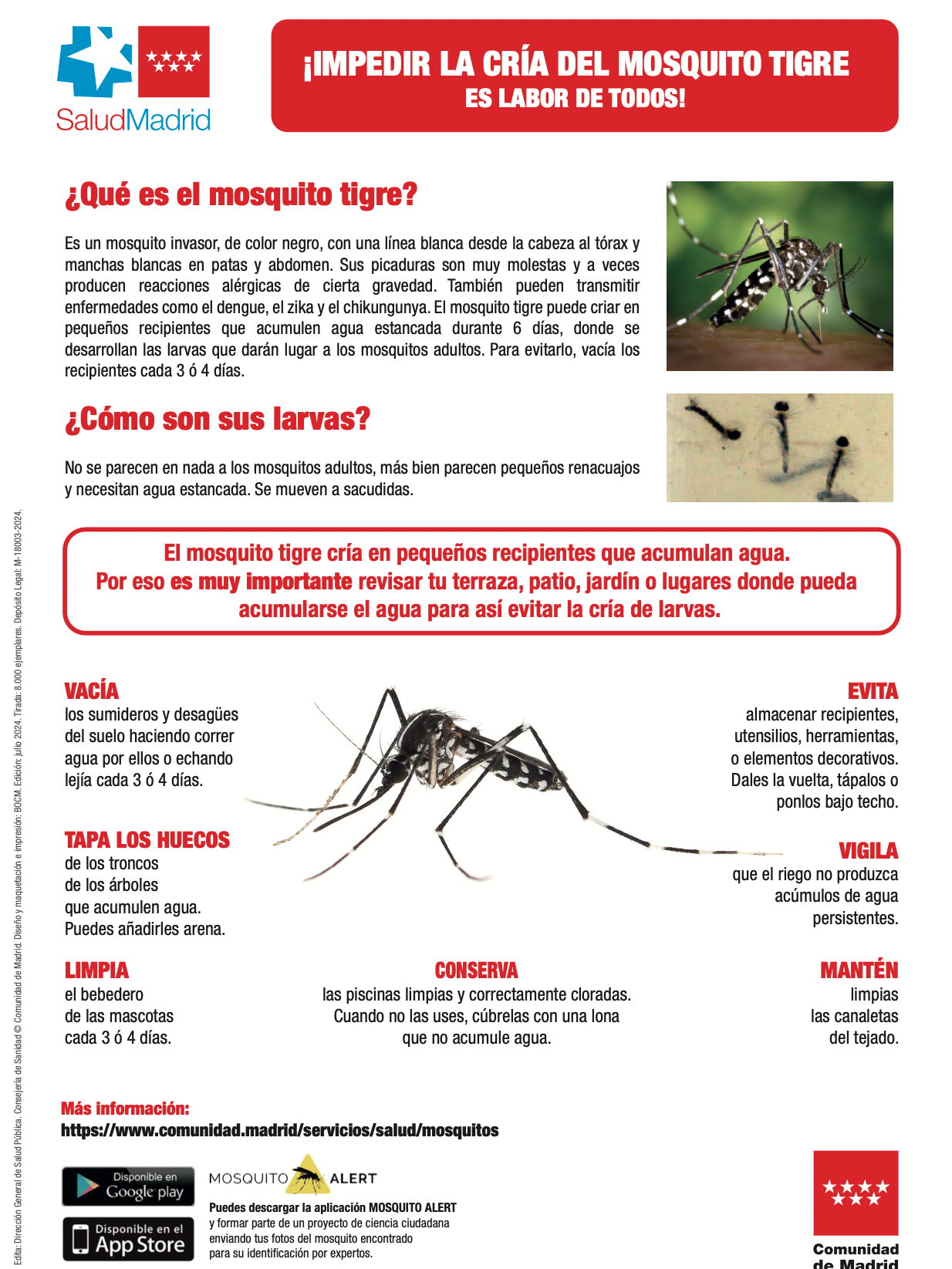 CARTEL-MOSQUITO-TIGRE-edited Mosquito tigre: cómo evitar la proliferación de esta especie invasora