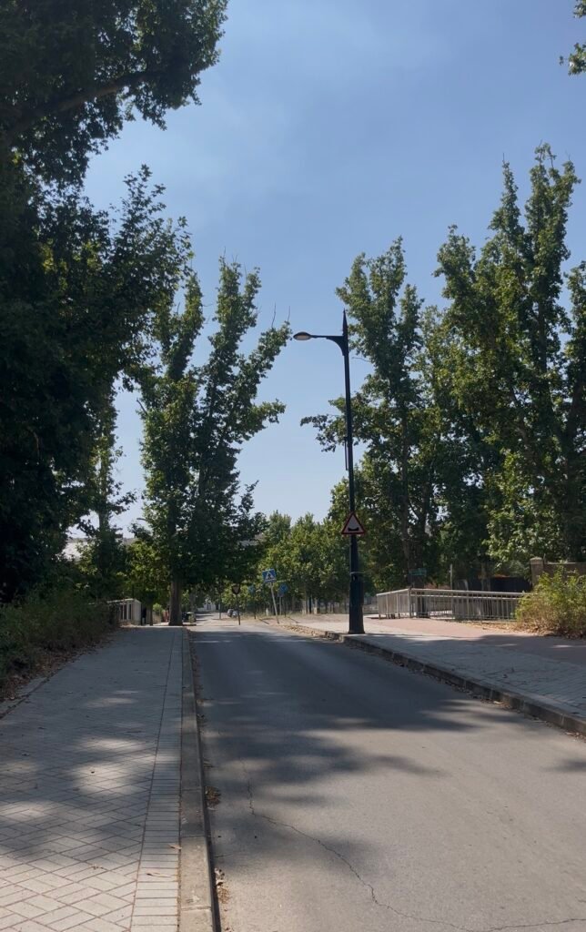 CALLE-TRINQUETE-644x1024 Las próximas obras de la ciudad, con cargo a fondos PIR de la Comunidad de Madrid, alcanzan los 800.000 euros