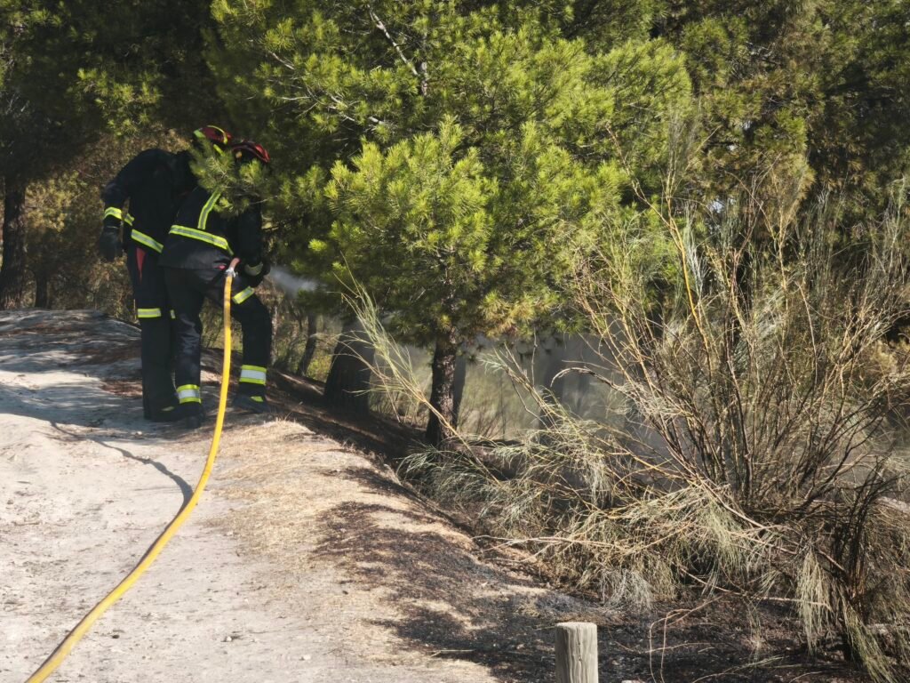 MVIMG_20260725_101349-1024x768 El monte Parnaso de Aranjuez sufre un incendio de madrugada